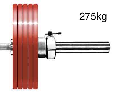 275kg